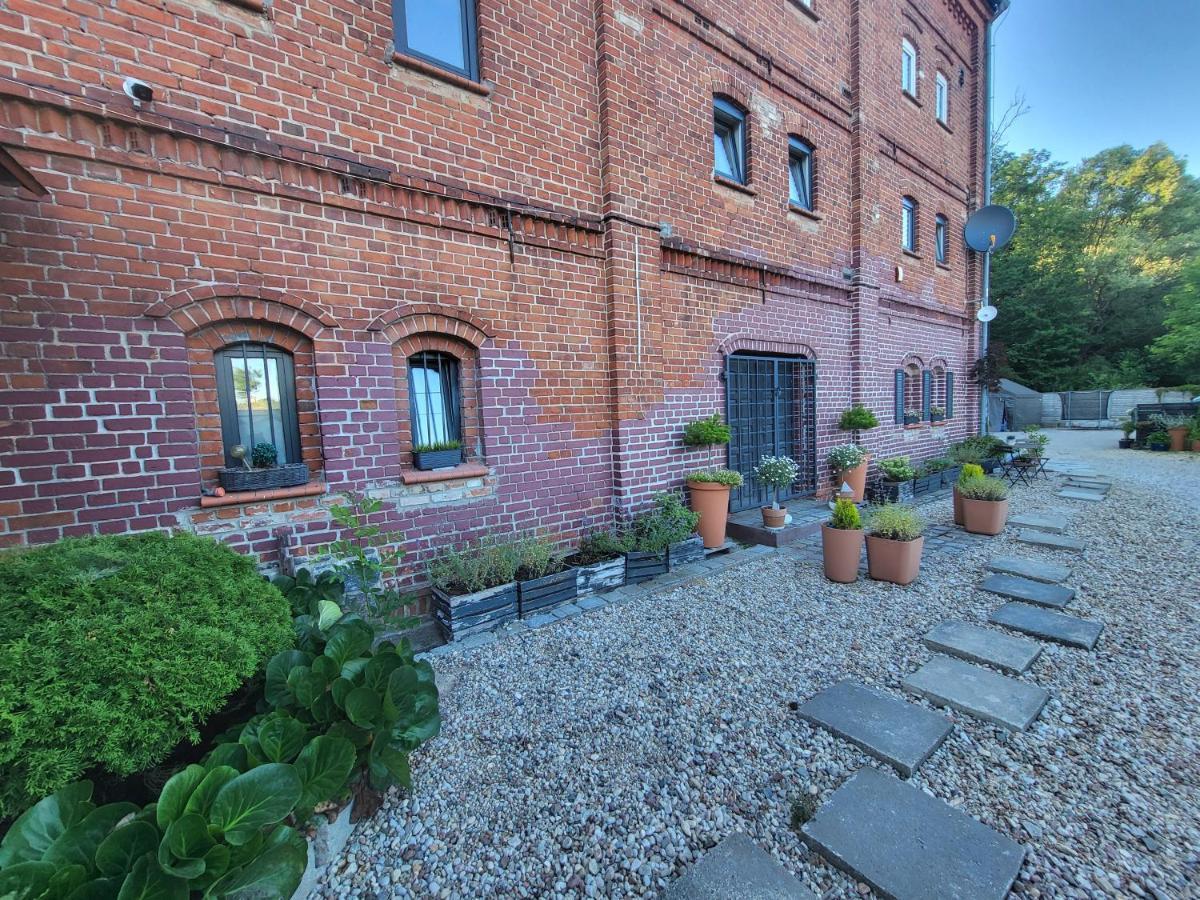 Krzywa Apartamenty Lidzbark Warmiński Exterior foto
